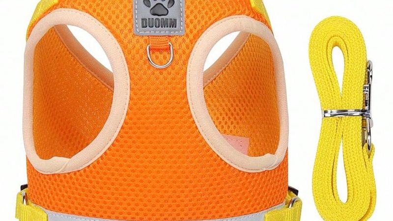 食品保鲜冷库尺寸如何确定